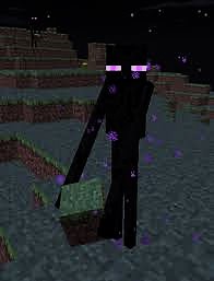 images.jpg